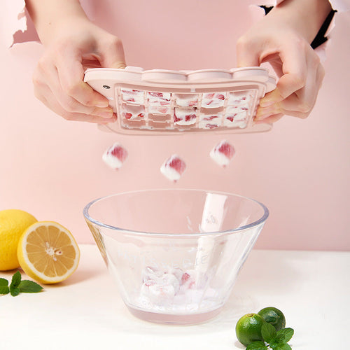 cartoon home ice tray